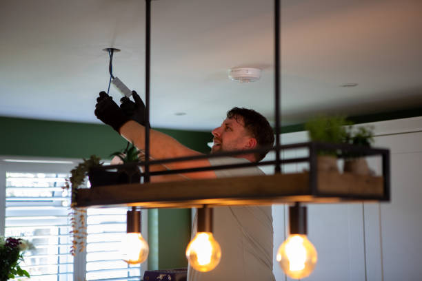 Best Electric Panel Repair  in Ruhenstroth, NV